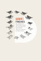 Book cover of: Darwin's Finches. By: Kathleen Donohue