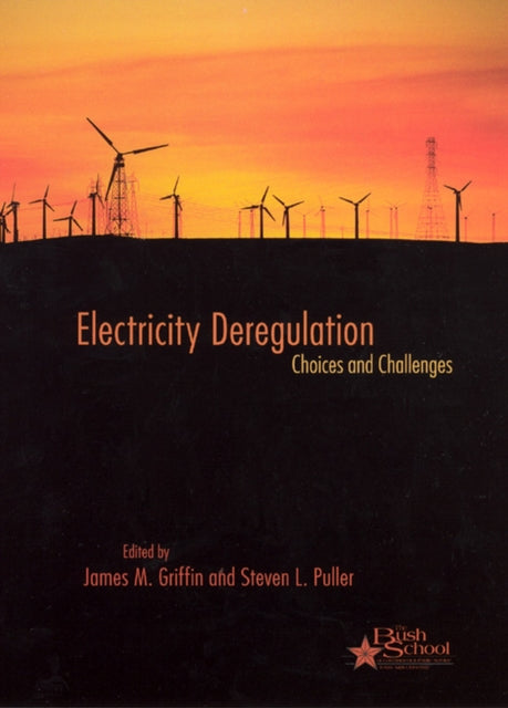 Book cover of: Electricity Deregulation