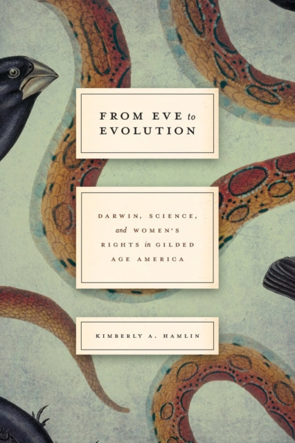 Book cover of: From Eve to Evolution. By: Kimberly A. Hamlin