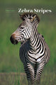 Book cover of: Zebra Stripes. By: T. M. Caro