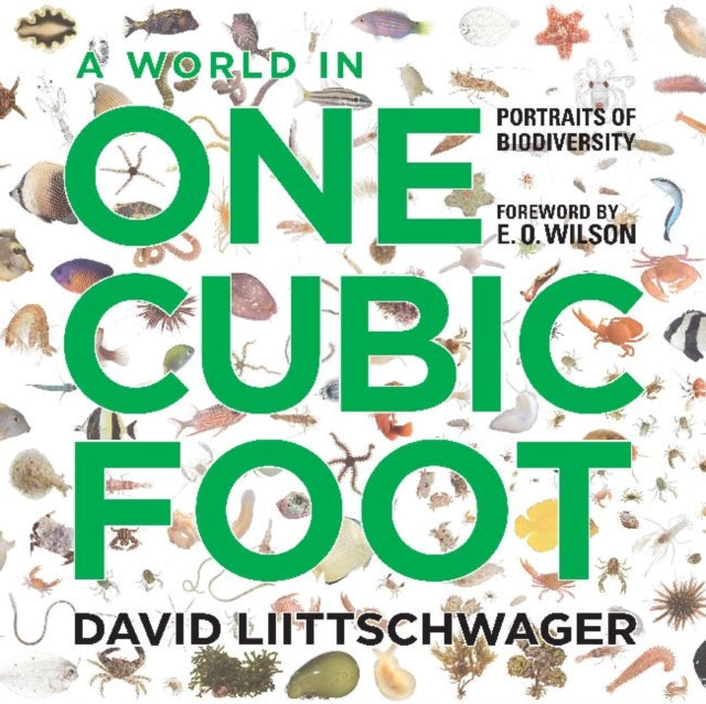 Book cover of: World in One Cubic Foot. By: David Littschwager