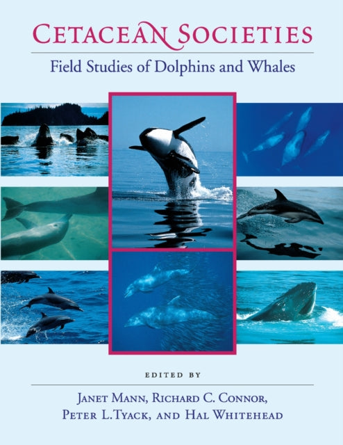 Book cover of: Cetacean Societies