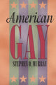 Book cover of: American Gay