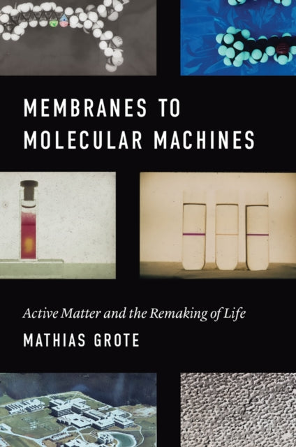 Book cover of: Membranes to Molecular Machines. By: Mathias Grote