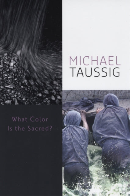 Book cover of: What Color Is the Sacred?. By: Michael T. Taussig