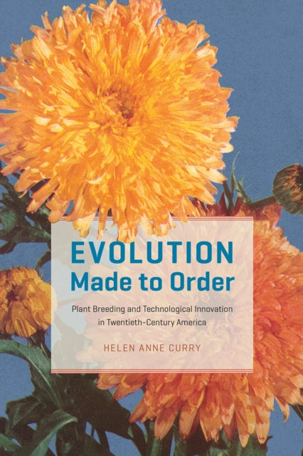 Book cover of: Evolution Made to Order. By: Helen Anne Curry