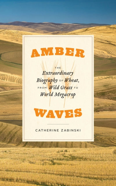 Book cover of: Amber Waves. By: Catherine Zabinski