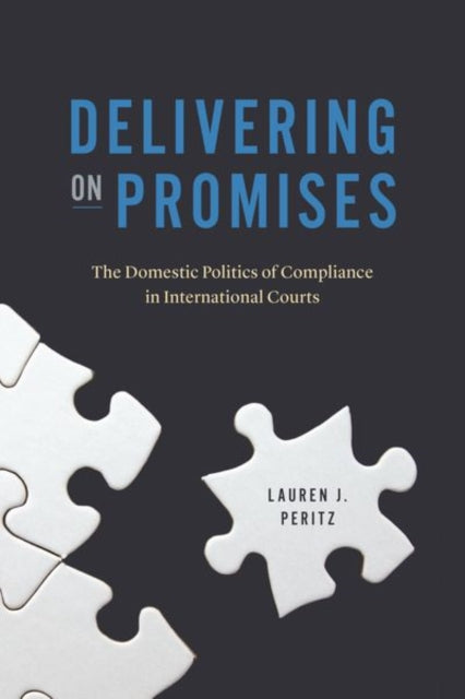 Book cover of: Delivering on Promises. By: Lauren J. Peritz