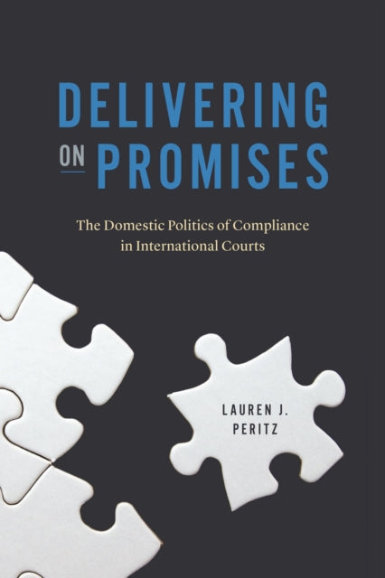 Book cover of: Delivering on Promises. By: Lauren J. Peritz