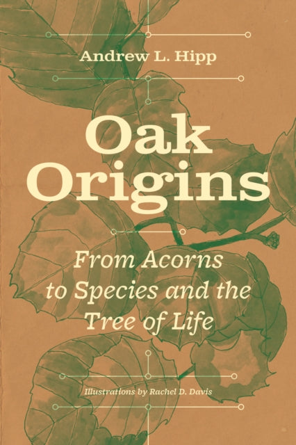 Book cover of: Oak Origins. By: Andrew L. Hipp