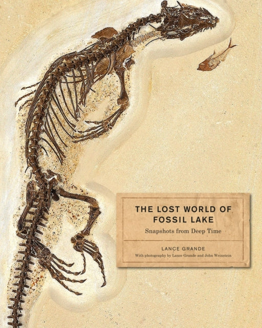 Book cover of: Lost World of Fossil Lake. By: Lance Grande