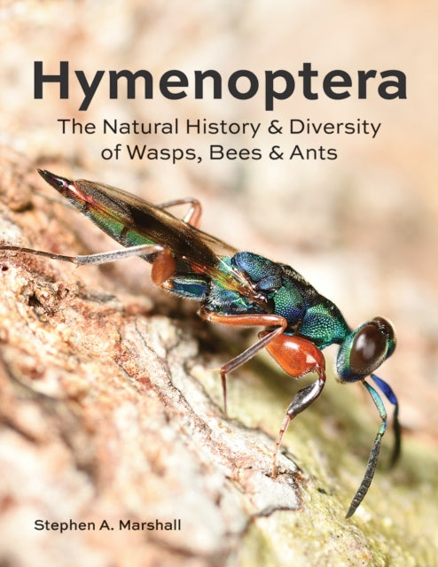 Book cover of: Hymenoptera. By: Stephen A. Marshall