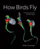 Book cover of: How Birds Fly. By: Peter Cavanagh