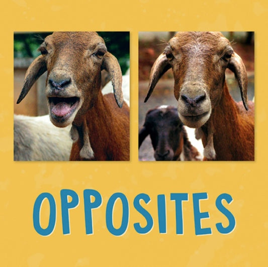 Book cover of: Opposites. By: Kathy Knowles