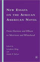 Book cover of: New Essays on the African American Novel