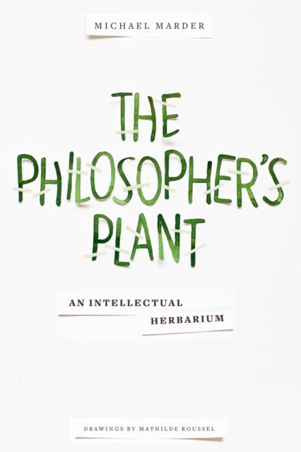 Philosopher's Plant