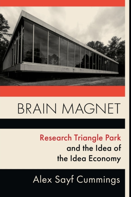 Book cover of: Brain Magnet. By: Alex Cummings