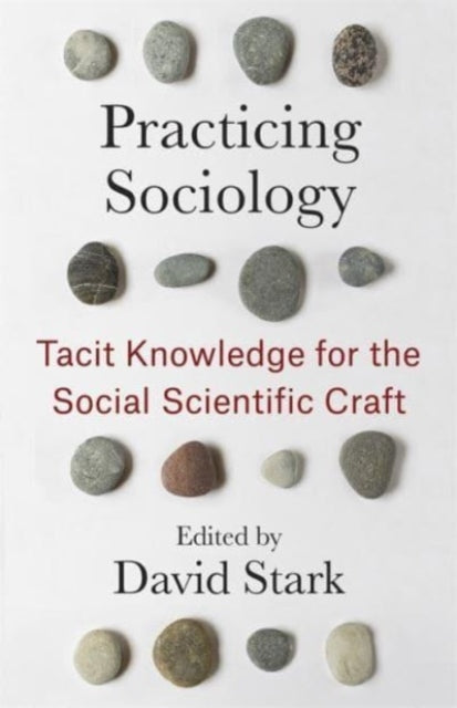 Book cover of: Practicing Sociology. By: David Stark