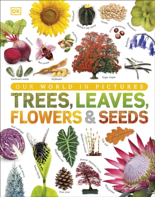 Our World in Pictures: Trees, Leaves, Flowers & Seeds 9780241339923 DK Publishing