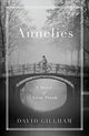 Book cover of: Annelies. By: David R. Gillham