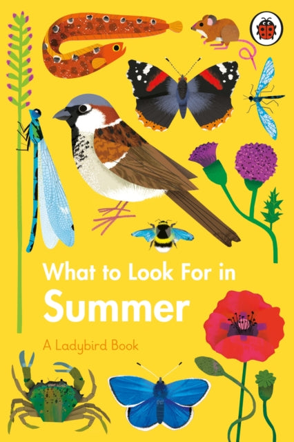 What to Look For in Summer 9780241416204 Elizabeth Jenner
