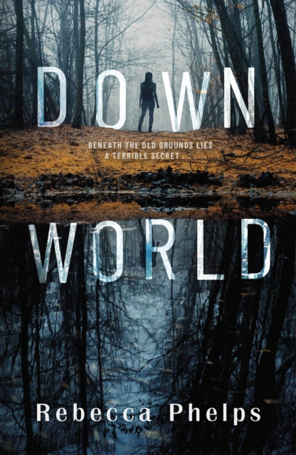 Book cover of: Down World. By: Rebecca Phelps