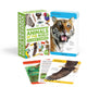Book cover of: Our World in Pictures Animals of the World Flash Cards