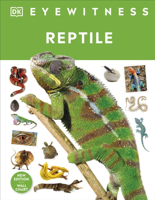 Reptile 9780241631676 DK Publishing