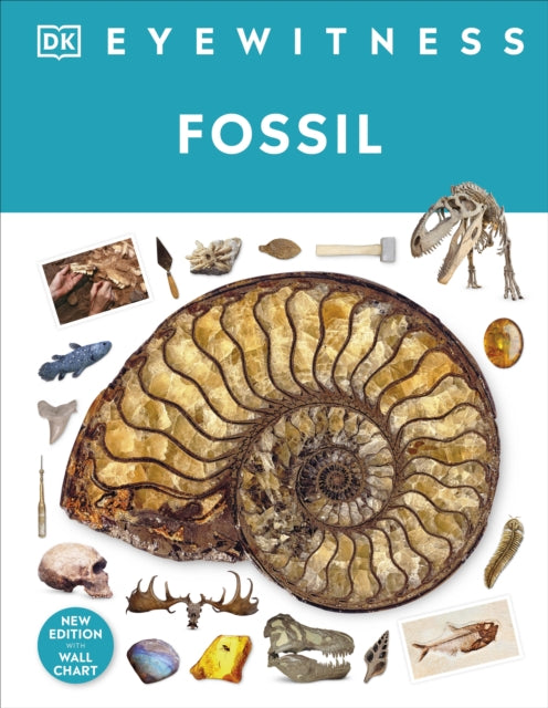 Fossil 9780241652770 DK Publishing