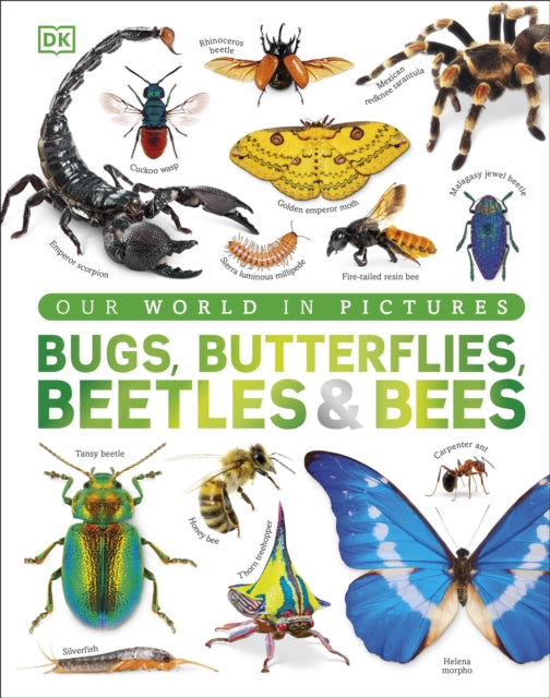 Bugs, Butterflies, Beetles and Bees