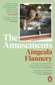 Book cover of: Amusements. By: Aingeala Flannery