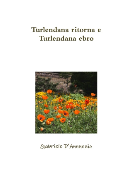 Book cover of: Turlendana ritorna e Turlendana ebro. By: Gabriele D'Annunzio