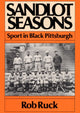 Book cover of: Sandlot Seasons