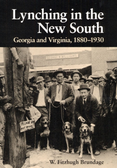 Book cover of: Lynching in the New South