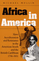 Book cover of: Africa in America. By: Michael Mullin