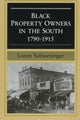 Book cover of: Black Property Owners in the South, 1790-1915