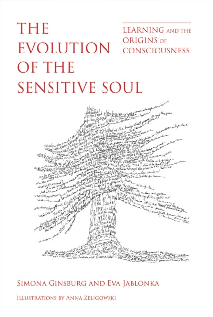 Book cover of: Evolution of the Sensitive Soul. By: Simona Ginsburg