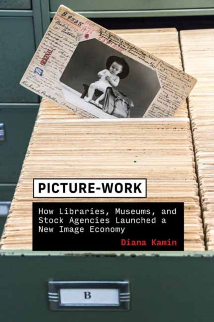 Book cover of: Picture-Work. By: Diana Kamin