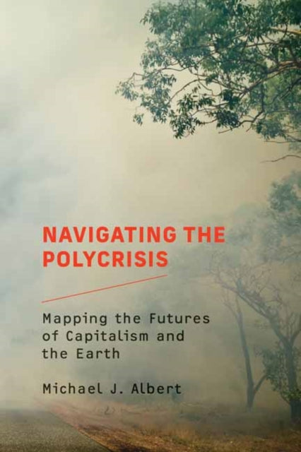 Book cover of: Navigating the Polycrisis. By: Michael J. Albert