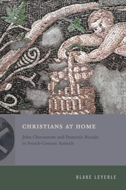 Book cover of: Christians at Home. By: Blake Leyerle