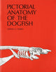 Book cover of: Pictorial Anatomy of the Dogfish