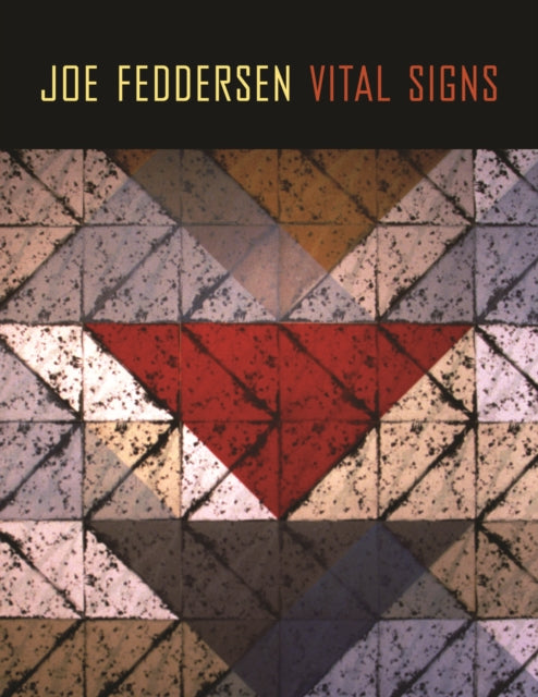 Book cover of: Joe Feddersen. By: Rebecca J. Dobkins