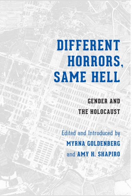 Book cover of: Different Horrors, Same Hell. By: Myrna Goldenberg