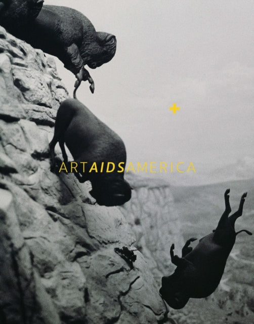 Book cover of: Art AIDS America. By: Jonathan D. Katz