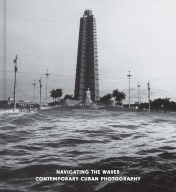 Book cover of: Navigating the Waves. By: Malcolm Daniel