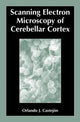Book cover of: Scanning Electron Microscopy of Cerebellar Cortex. By: Orlando Castejón