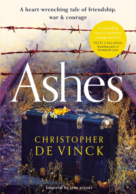 Book cover of: Ashes. By: Chris de Vinck