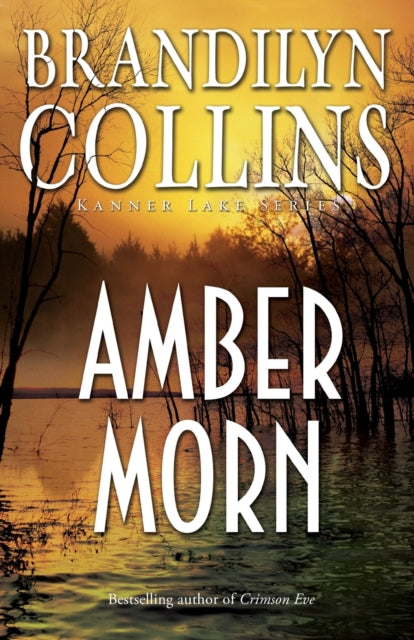 Book cover of: Amber Morn. By: Brandilyn Collins