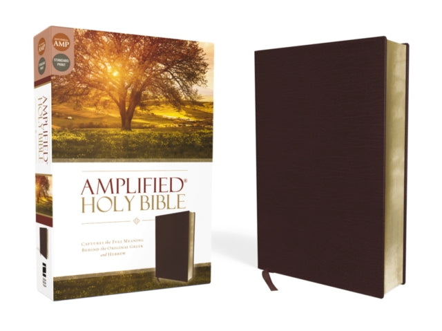 Book cover of: Amplified Holy Bible, Bonded Leather, Burgundy
