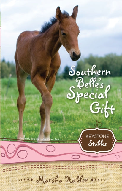 Book cover of: Southern Belle's Special Gift. By: Marsha Hubler